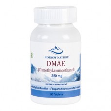 Norway Nature DMAE (Dimethylaminoethanol) 90 таблеток